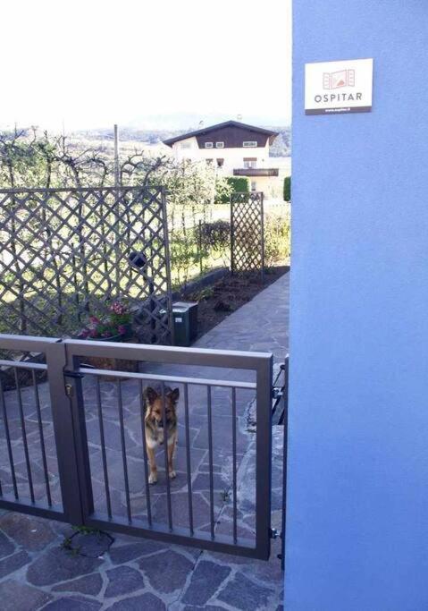 Apartamento Casa Del Tempo Rosa Tassullo Ospitar Exterior foto